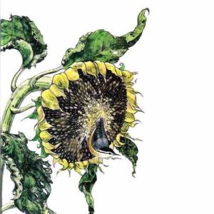 Gardener's Almanac: Fall Gardening and Preparing for Winter Image